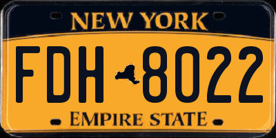 NY license plate FDH8022