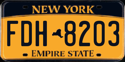 NY license plate FDH8203