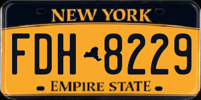 NY license plate FDH8229