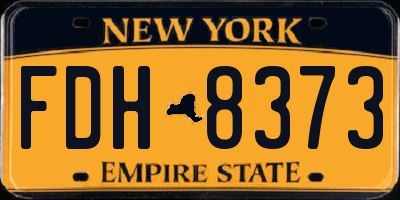NY license plate FDH8373