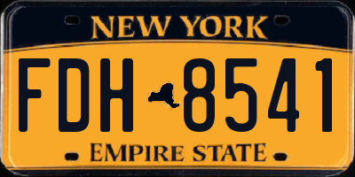 NY license plate FDH8541