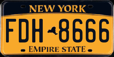 NY license plate FDH8666