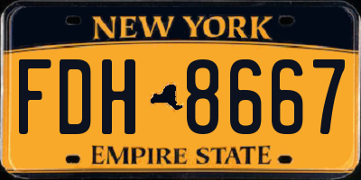 NY license plate FDH8667