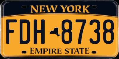 NY license plate FDH8738