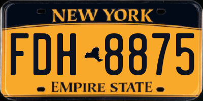 NY license plate FDH8875