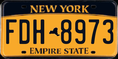 NY license plate FDH8973