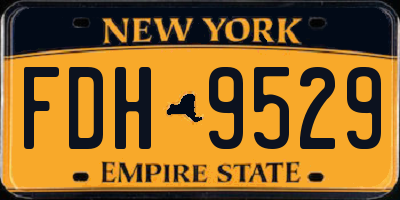 NY license plate FDH9529