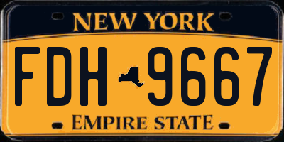 NY license plate FDH9667