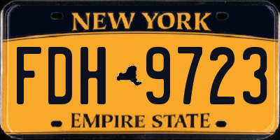 NY license plate FDH9723