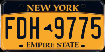 NY license plate FDH9775