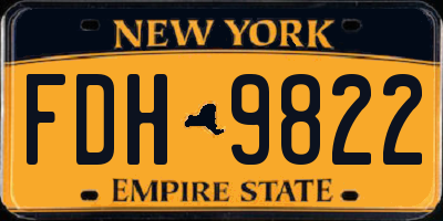 NY license plate FDH9822