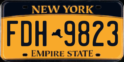 NY license plate FDH9823