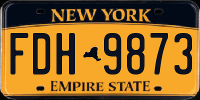 NY license plate FDH9873