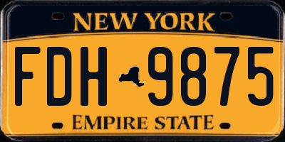 NY license plate FDH9875