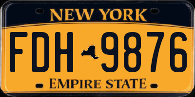NY license plate FDH9876