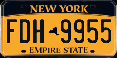 NY license plate FDH9955