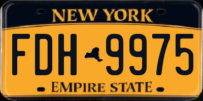 NY license plate FDH9975