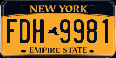 NY license plate FDH9981