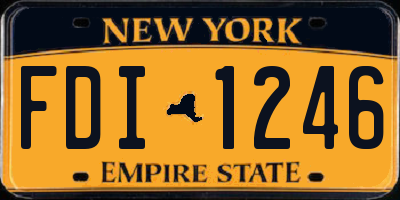 NY license plate FDI1246