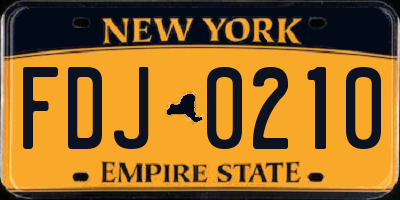 NY license plate FDJ0210