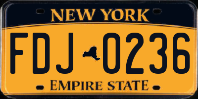 NY license plate FDJ0236