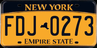 NY license plate FDJ0273