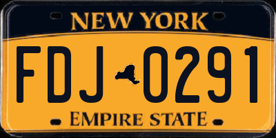 NY license plate FDJ0291