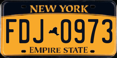 NY license plate FDJ0973