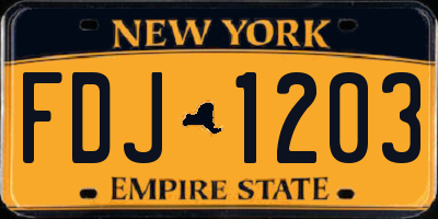 NY license plate FDJ1203