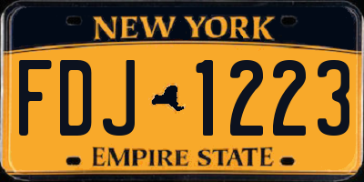 NY license plate FDJ1223