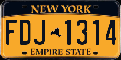 NY license plate FDJ1314