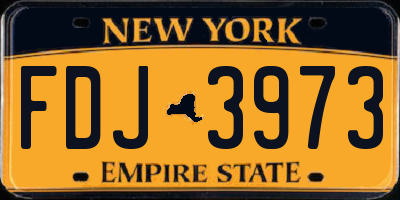 NY license plate FDJ3973