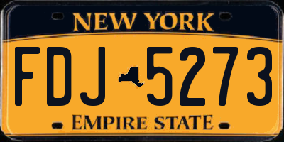 NY license plate FDJ5273
