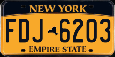 NY license plate FDJ6203