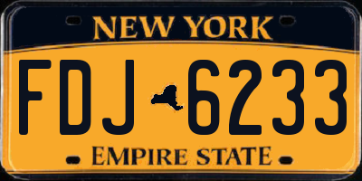 NY license plate FDJ6233