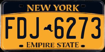 NY license plate FDJ6273