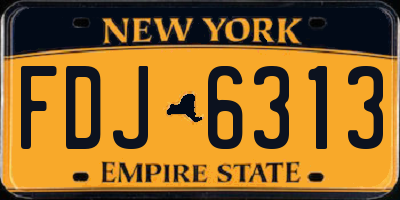 NY license plate FDJ6313