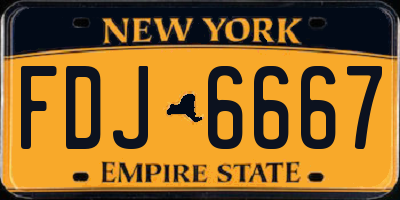 NY license plate FDJ6667