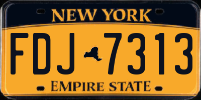 NY license plate FDJ7313