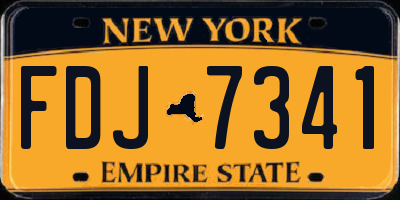 NY license plate FDJ7341