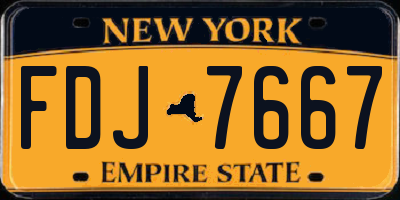 NY license plate FDJ7667