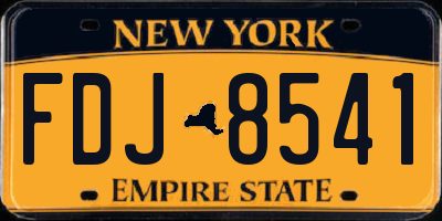 NY license plate FDJ8541
