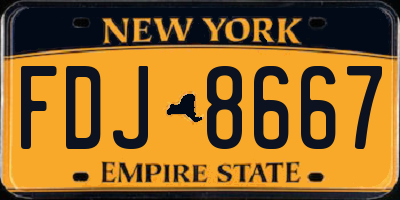NY license plate FDJ8667