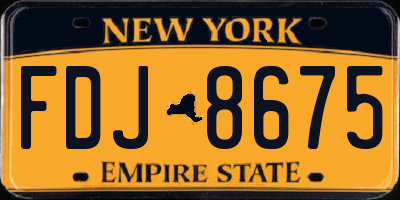 NY license plate FDJ8675