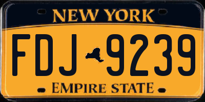 NY license plate FDJ9239