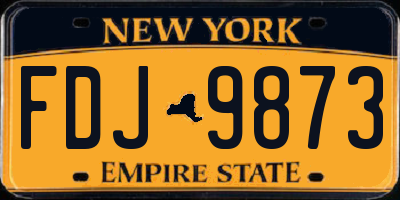 NY license plate FDJ9873