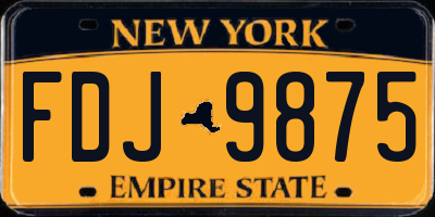NY license plate FDJ9875