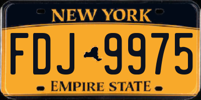 NY license plate FDJ9975