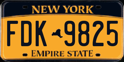 NY license plate FDK9825