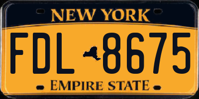 NY license plate FDL8675